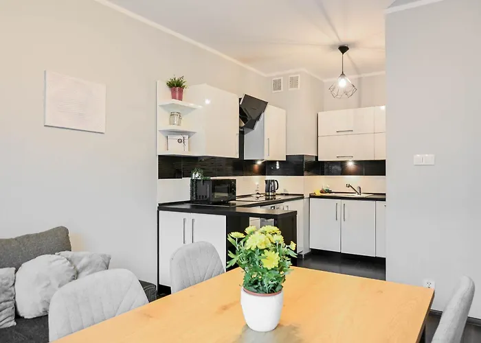 D&a Pawia كراكوفيا