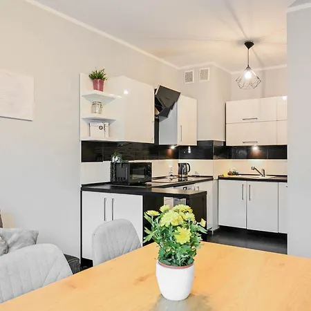 D&a Pawia קרקוב